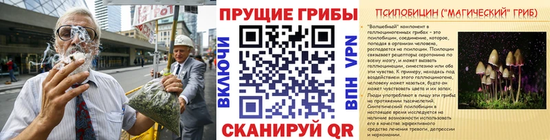 купить  сайты  Руза  Псилоцибиновые грибы мицелий 